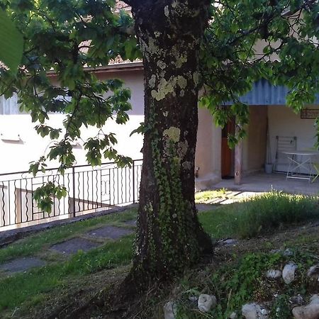 Cote Jardin Apartment Saint-Jean-en-Royans Exterior photo